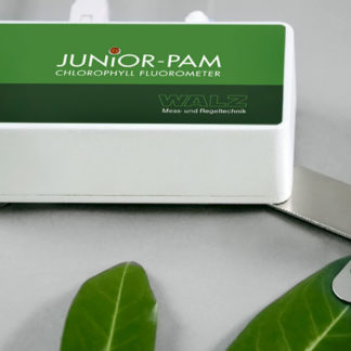 Junior PAM
