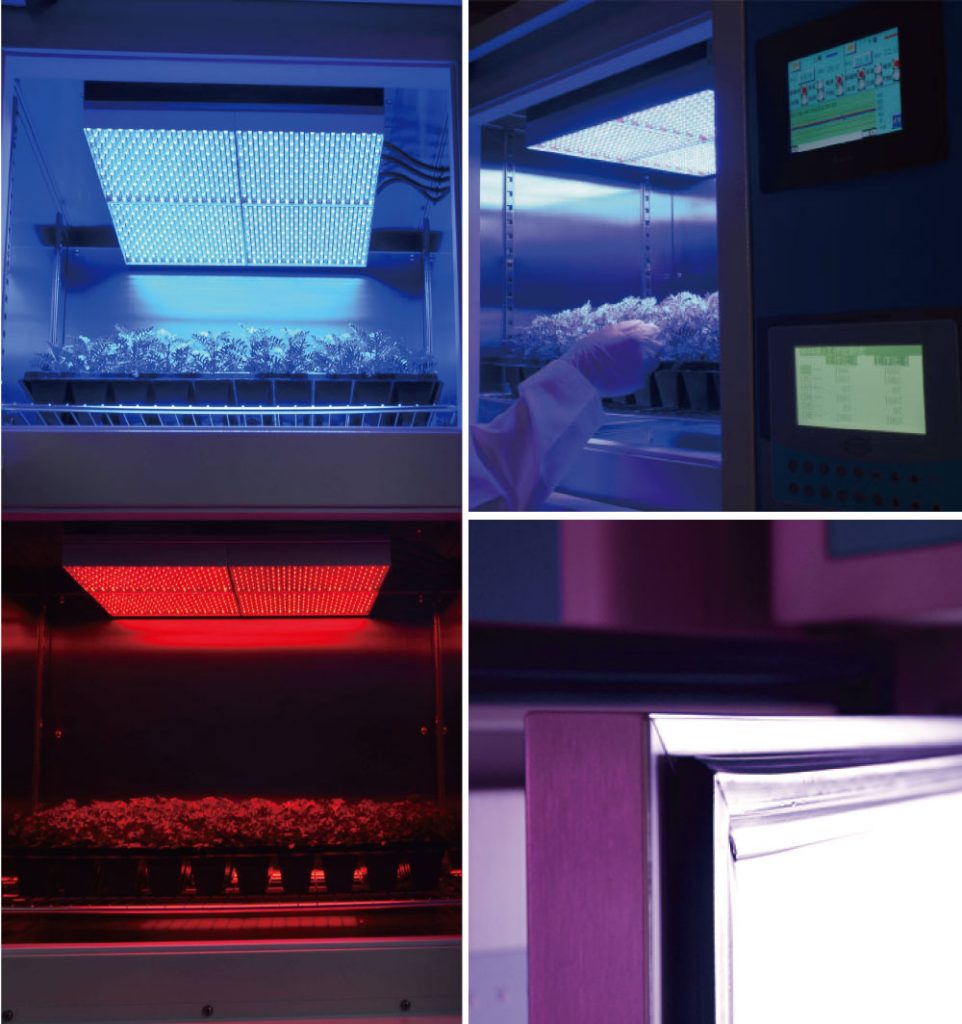 Réglages des lumières - chambre 700F LED