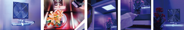ETC-80F/FH/FC/FHC LED – Image 2