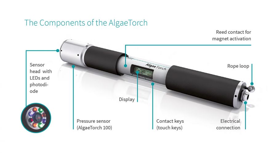 Détails de l'AlgaeTorch