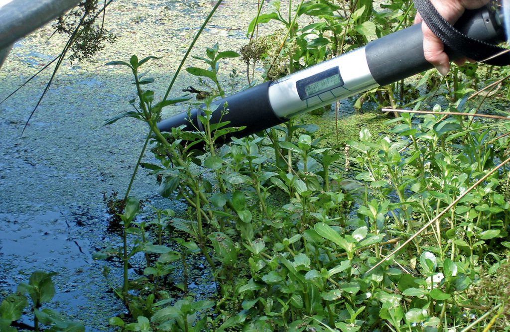 Mesure détails de l'AlgaeTorch