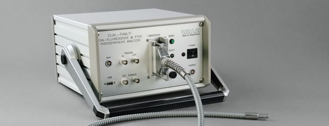 DualPAM Fibre